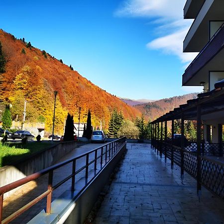 Serenity Suite Sinaia Ngoại thất bức ảnh