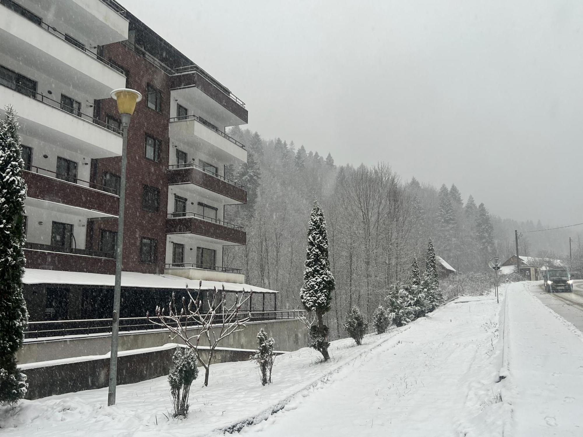 Serenity Suite Sinaia Ngoại thất bức ảnh